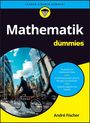 "Mathematik für Dummies" von André Fischer, Themen: Probleme lösen, Grundrechenarten, Algebra. Illustration mit Radfahrer.
