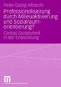 Peter-Georg Albrecht: Professionalisierung durch Milieuaktivierung und Sozialraumorientierung?, Buch