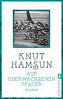 Knut Hamsun: Auf überwachsenen Pfaden, Buch