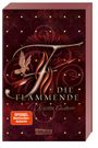 Kristin Cashore: Die Flammende (Die sieben Königreiche 2), Buch