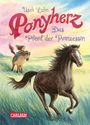 Usch Luhn: Ponyherz 04: Das Pferd der Prinzessin, Buch