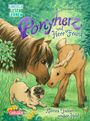 Usch Luhn: Ponyherz und Herr Franz: Kleines Fohlen, großer Held, Buch
