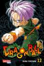 Akira Toriyama: Dragon Ball Massiv 12, Buch