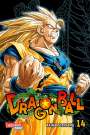 Akira Toriyama: Dragon Ball Massiv 14, Buch