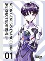 Yoshiyuki Sadamoto: Neon Genesis Evangelion - Perfect Edition 1, Buch
