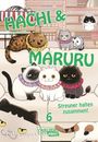 Yuri Sonoda: Hachi & Maruru - Streuner halten zusammen! 6, Buch