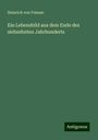 Heinrich von Friesen: Ein Lebensbild aus dem Ende des siebzehnten Jahrhunderts, Buch
