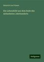 Heinrich von Friesen: Ein Lebensbild aus dem Ende des siebzehnten Jahrhunderts, Buch
