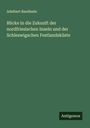 Adelbert Baudissin: Blicke in die Zukunft der nordfriesischen Inseln und der Schleswigschen Festlandsküste, Buch