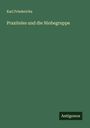 Karl Friederichs: Praxiteles und die Niobegruppe, Buch