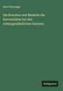 Max Fürbringer: Die Knochen und Muskeln der Extremitäten bei den schlangenähnlichen Sauriern, Buch