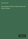 Hermann Plitt: Die Gemeine Gottes in ihrem Geist und ihren Formen, Buch