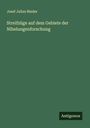 Josef Julius Binder: Streifzüge auf dem Gebiete der Nibelungenforschung, Buch
