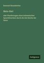 Renward Brandstetter: Mata-Hari, Buch