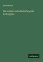 Bruno Bauch: Die erzieherische Bedeutung der Kulturgüter, Buch