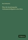 Max Bodenstein: Über die Zersetzung des Jodwasserstoffgases in der Hitze, Buch
