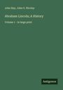 John Hay: Abraham Lincoln; A History, Buch