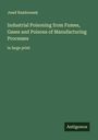 Josef Rambousek: Industrial Poisoning from Fumes, Gases and Poisons of Manufacturing Processes, Buch