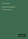 Wilhelm Bölsche: Aus der Schneegrube, Buch
