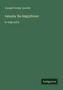Joseph Crosby Lincoln: Galusha the Magnificent, Buch