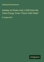 Nathaniel Hawthorne: Sunday at Home; And, A Rill from the Town Pump, From "Twice Told Tales", Buch