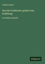 Johanna Spyri: Was die Großmutter gelehrt hat; Erzählung, Buch
