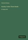 Charles Dickens: Sunday Under Three Heads, Buch