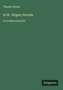 Theodor Storm: In St. Jürgen; Novelle, Buch