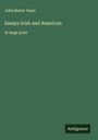 John Butler Yeats: Essays Irish and American, Buch