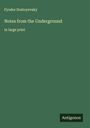 Fyodor Dostoyevsky: Notes from the Underground, Buch