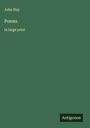 John Hay: Poems, Buch