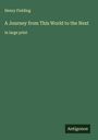 Henry Fielding: A Journey from This World to the Next, Buch