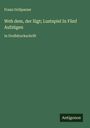 Franz Grillparzer: Weh dem, der lügt; Lustspiel In Fünf Aufzügen, Buch