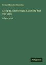 Richard Brinsley Sheridan: A Trip to Scarborough; A Comedy And The Critic, Buch