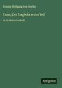 Johann Wolfgang von Goethe: Faust; Der Tragödie erster Teil, Buch