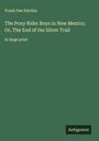 Frank Gee Patchin: The Pony Rider Boys in New Mexico; Or, The End of the Silver Trail, Buch