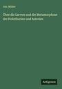 Joh. Müller: Über die Larven und die Metamorphose der Holothurien und Asterien, Buch