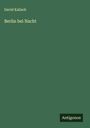 David Kalisch: Berlin bei Nacht, Buch