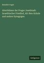 Benedict Foges: Alterthümer der Prager Josefstadt: Israelitischer Friedhof, Alt-Neu-Schule und andere Synagogen, Buch