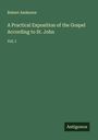 Robert Anderson: A Practical Exposition of the Gospel According to St. John, Buch