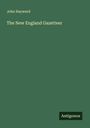 John Hayward: The New England Gazetteer, Buch