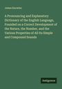 James Knowles: A Pronouncing and Explanatory Dictionary of the English Language, Founded on a Correct Development of the Nature, the Number, and the Various Properties of All Its Simple and Compound Sounds, Buch