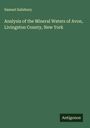Samuel Salisbury: Analysis of the Mineral Waters of Avon, Livingston County, New York, Buch