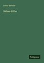 Arthur Baessler: Südsee-Bilder, Buch