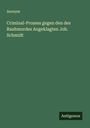 Anonym: Criminal-Prozess gegen den des Raubmordes Angeklagten Joh. Schmidt, Buch