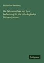 Maximilian Sternberg: Die Sehnenreflexe und ihre Bedeutung für die Pathologie des Nervensystems, Buch