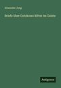 Alexander Jung: Briefe über Gutzkows Ritter im Geiste, Buch