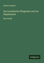 Hubert Grimme: Das israelitische Pfingstfest und der Plejadenkult, Buch