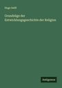 Hugo Delff: Grundzüge der Entwicklungsgeschichte der Religion, Buch