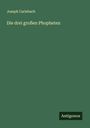 Joseph Carlebach: Die drei großen Phopheten, Buch